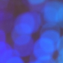 Bokeh-302